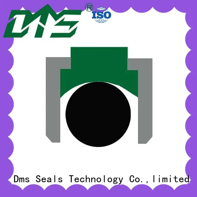 DMS Seal Manufacturer piston seals with ptfe nbr and pom for light and medium hydraulic systems 1
