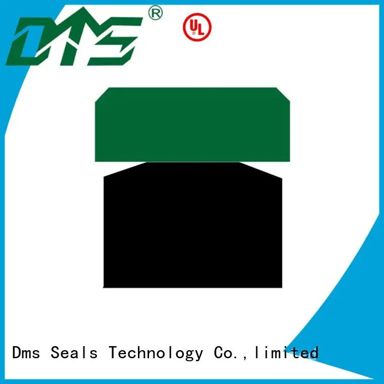 DMS Seal Manufacturer piston seals glyd ring for sale 1