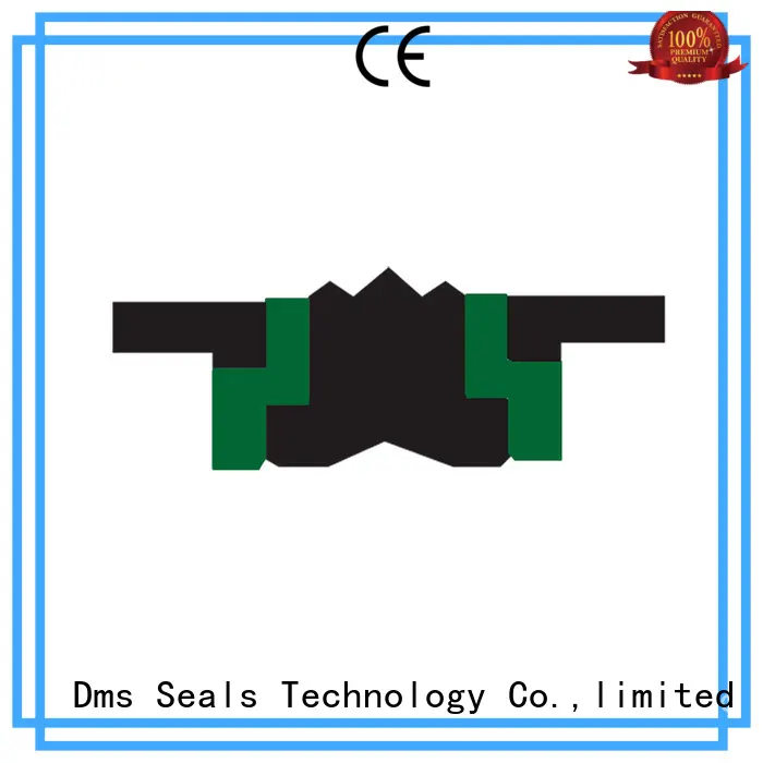 DMS Seal Manufacturer hydraulic piston seals with nbr or fkm o ring for light and medium hydraulic systems 1