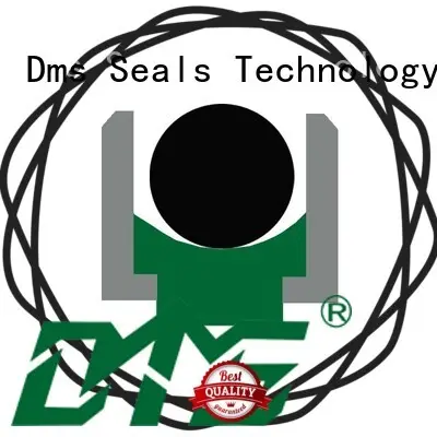 DMS Seal Manufacturer best rod seals with nbr or pu for pressure work and sliding high speed occasions 1