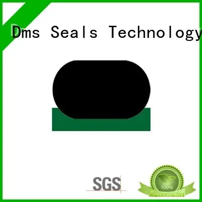 DMS Seal Manufacturer best hydraulic rod seals supplier for pressure work and sliding high speed occasions 1