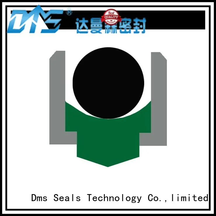 DMS Seal Manufacturer high speed o-ring seal online for construction machinery 1