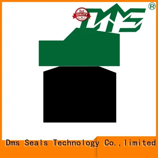DMS Seal Manufacturer hydraulic piston seals manufacturer for pneumatic equipment1 1
