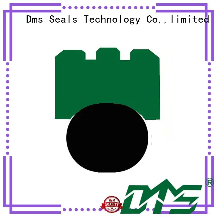 hydraulic rotary shaft seals online for automotive equipment 1