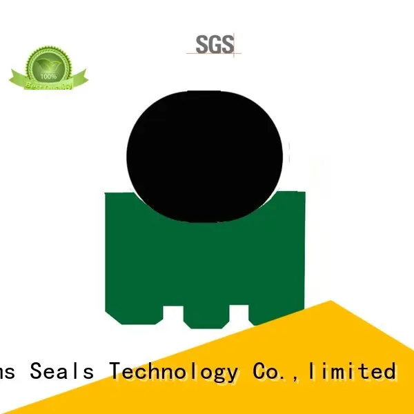 DMS Seal Manufacturer rotary shaft seals with nbr or fkm o ring for construction machinery 1