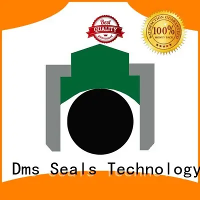 DMS Seal Manufacturer ptfe rotary seals online for automotive equipment 1