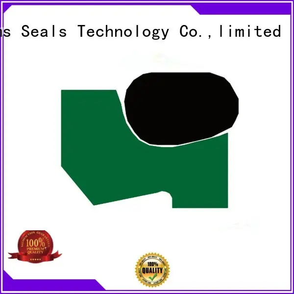 DMS Seal Manufacturer scraper seals supplier for injection molding machines 1