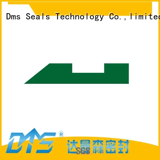 DMS Seal Manufacturer oil seal manufacturer wear ring as the guide sleeve 1