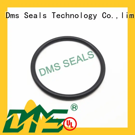 kalrez o-ring seal online in highly aggressive chemical processing 1