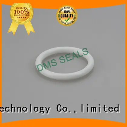 white o ring seal manufacturer in highly aggressive chemical processing 1