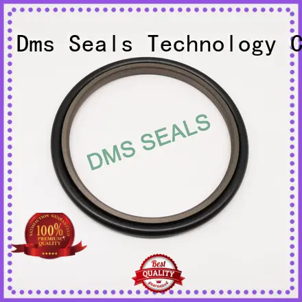DMS Seal Manufacturer hydraulic rod seals wholesale 1