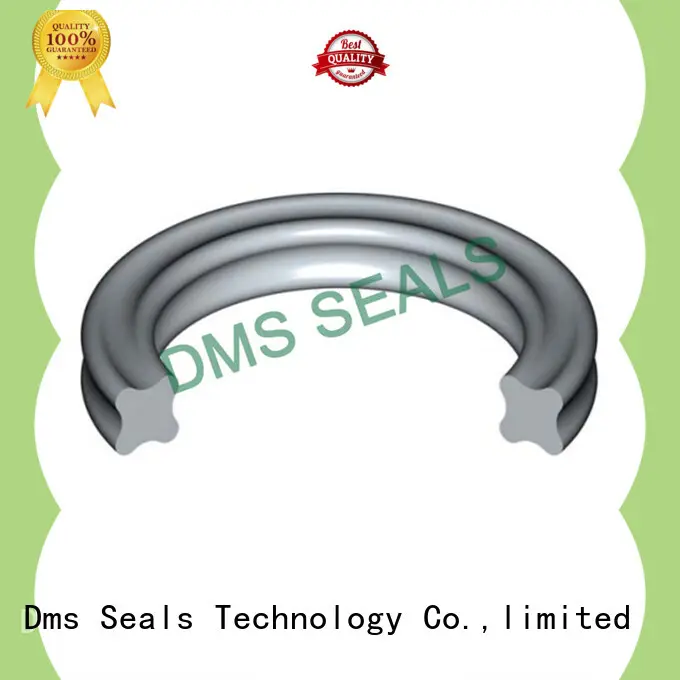 kalrez o-ring seal design for static sealing 1