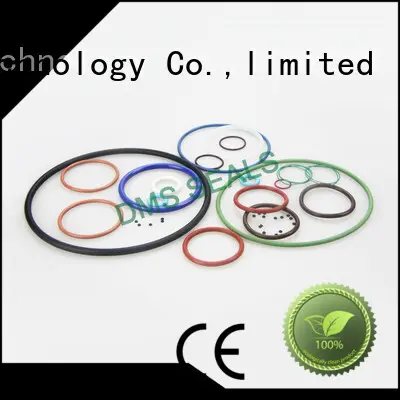 viton O Ring Manufacturer design in highly aggressive chemical processing 1