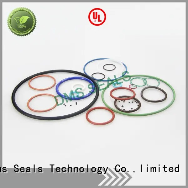 DMS Seal Manufacturer pfa o ring seal manufacturer with a diisocyanate or a polymeric isocyanate in highly aggressive chemical processing 1