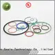 DMS Seal Manufacturer pfa o ring seal manufacturer with a diisocyanate or a polymeric isocyanate in highly aggressive chemical processing 1