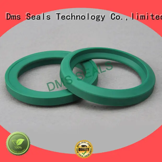DMS Seal Manufacturer compact piston seals o ring for piston and hydraulic cylinder 1