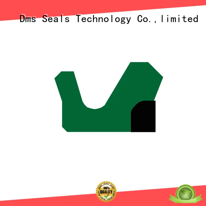 DMS Seal Manufacturer Latest push rod seal Supply for pressure work and sliding high speed occasions 1