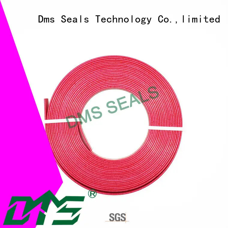 DMS Seal Manufacturer Custom rubber seal design guide strip for sale 1