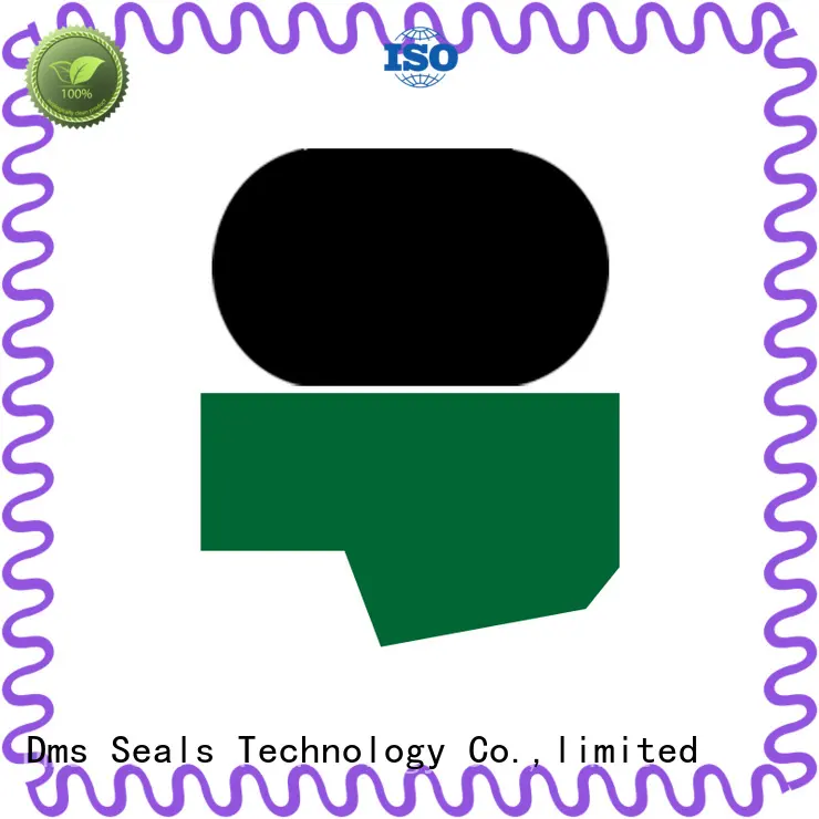 DMS Seal Manufacturer pneumatic rod seals factory for sale 1