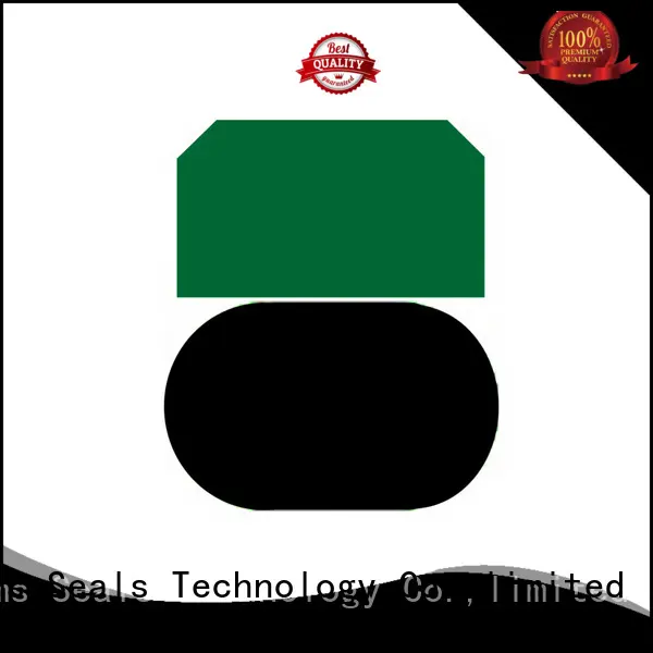 DMS Seal Manufacturer hydraulic cylinder piston seals Supply for sale 1