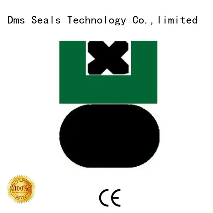 DMS Seal Manufacturer Custom hydraulic piston seals sizes with nbr or fkm o ring for sale 1