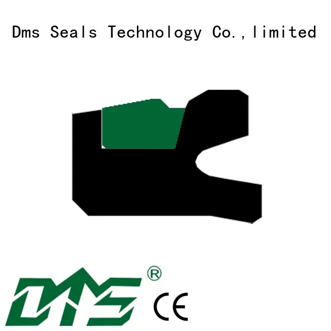DMS Seal Manufacturer pneumatic piston seals with nbr or fkm o ring for light and medium hydraulic systems 1