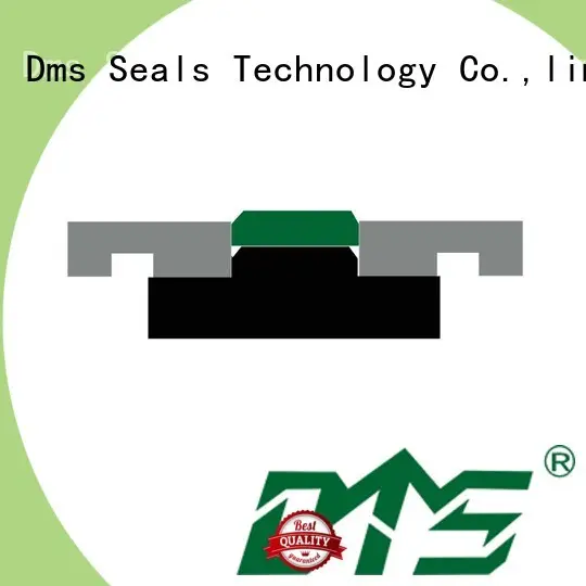 DMS Seal Manufacturer rubber piston seals for light and medium hydraulic systems 1