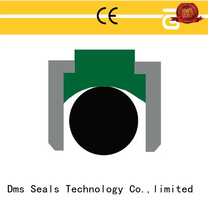 DMS Seal Manufacturer rubber piston seals Suppliers for sale 1
