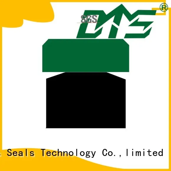 DMS Seal Manufacturer o-ring seal Supply for light and medium hydraulic systems 1