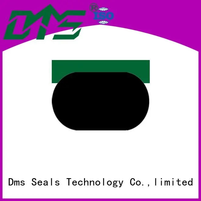DMS Seal Manufacturer Top o-ring seal glyd ring for sale 1
