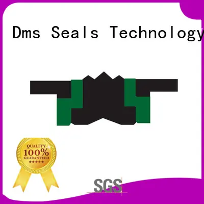DMS Seal Manufacturer New hydraulic piston seals suppliers glyd ring for pneumatic equipment 1