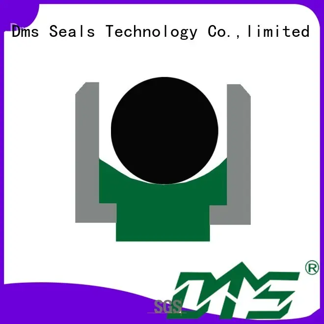 DMS Seal Manufacturer Top rod seals manufacturers for pressure work and sliding high speed occasions 1