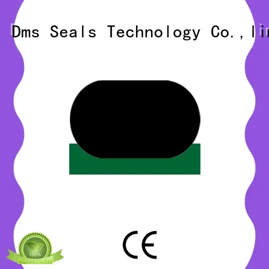 DMS Seal Manufacturer hydraulic rod seals online with nbr or fkm o ring for pressure work and sliding high speed occasions 1