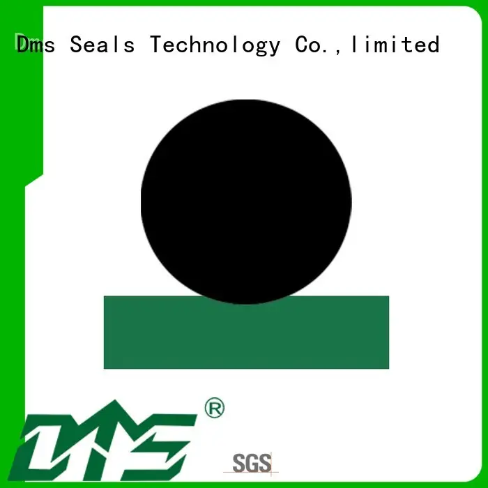 DMS Seal Manufacturer Latest push rod seal for business for sale 1