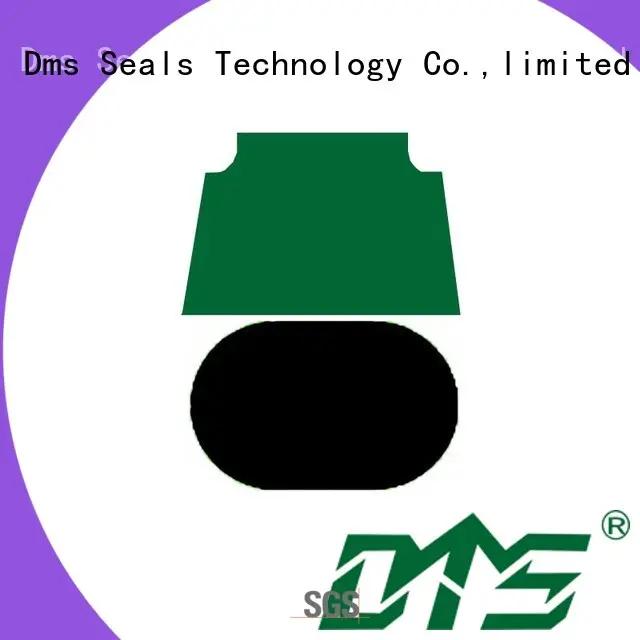 DMS Seal Manufacturer Wholesale hydraulic cylinder piston seals Supply for light and medium hydraulic systems 1