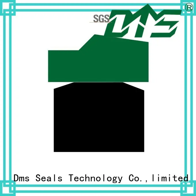 DMS Seal Manufacturer Wholesale hydraulic piston seals sizes for business for sale 1