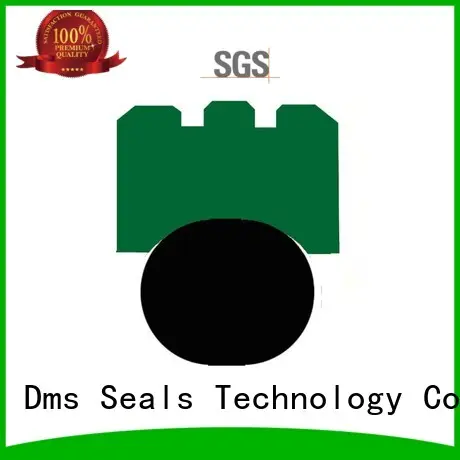 DMS Seal Manufacturer New rotary shaft seals Supply for automotive equipment 1