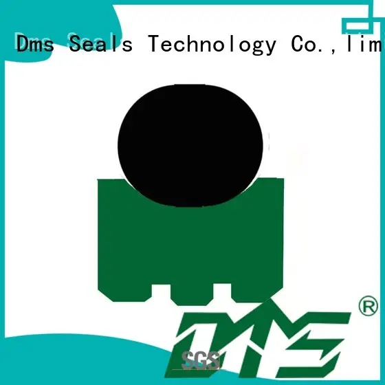 DMS Seal Manufacturer hydraulic rotary seals catalogue for construction machinery 1