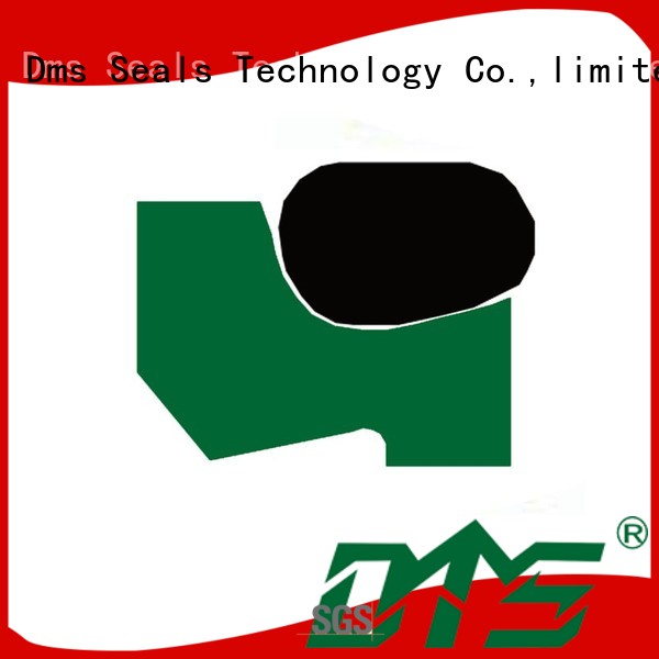 DMS Seal Manufacturer wiper seals Supply for cranes 1