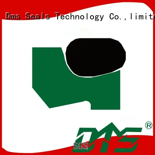 DMS Seal Manufacturer wiper seals Supply for cranes 1