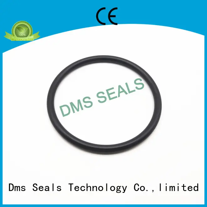 nitrile o ring seal supplier in highly aggressive chemical processing 1