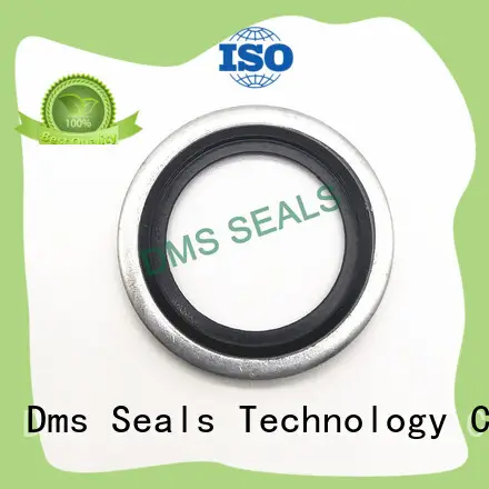 DMS Seal Manufacturer High-quality metric bonded seals Suppliers for threaded pipe fittings and plug sealing 1