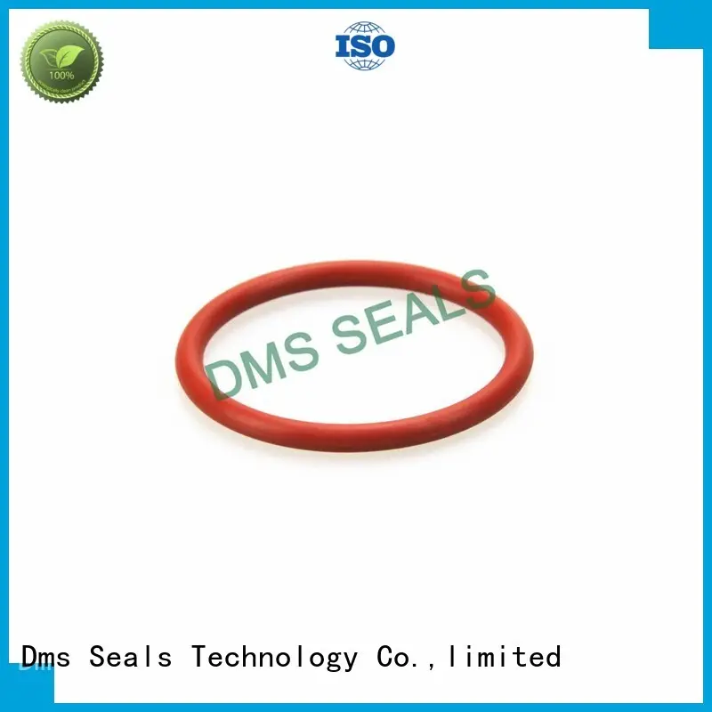 High-quality o-ring seal manufacturers in highly aggressive chemical processing 1