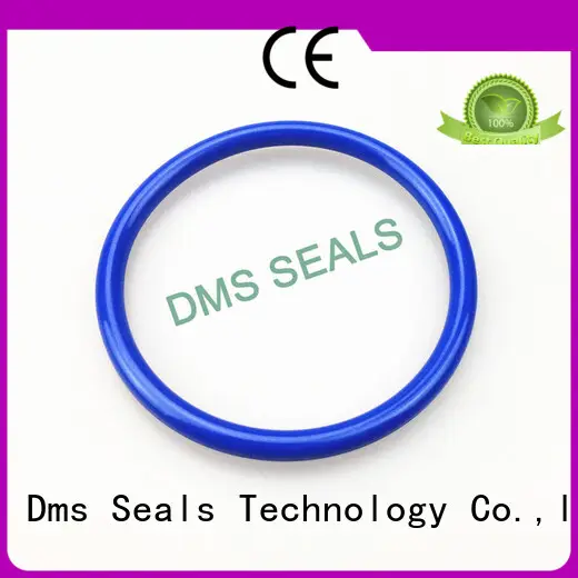 New oil seal ring in highly aggressive chemical processing 1