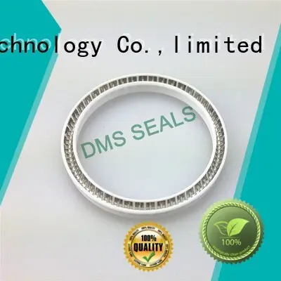 DMS Seal Manufacturer Best spring energized seals for aviation 1