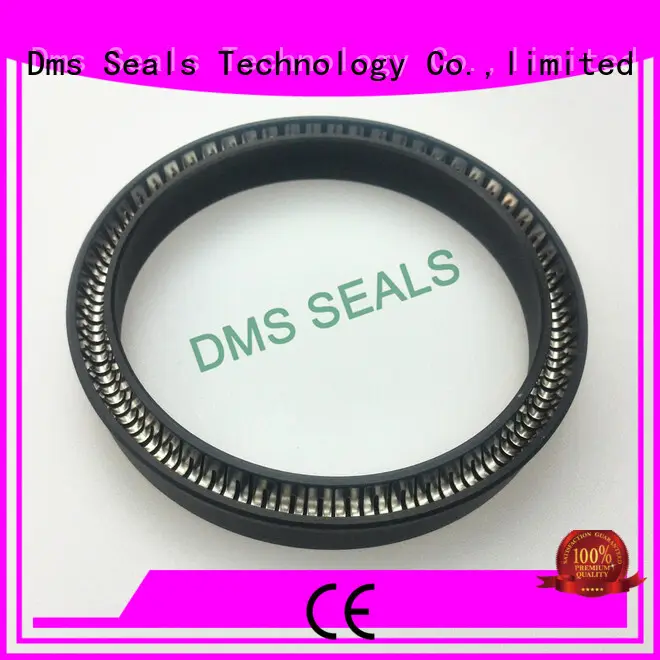 DMS Seal Manufacturer spring loaded seal for business for reciprocating piston rod or piston single acting seal 1