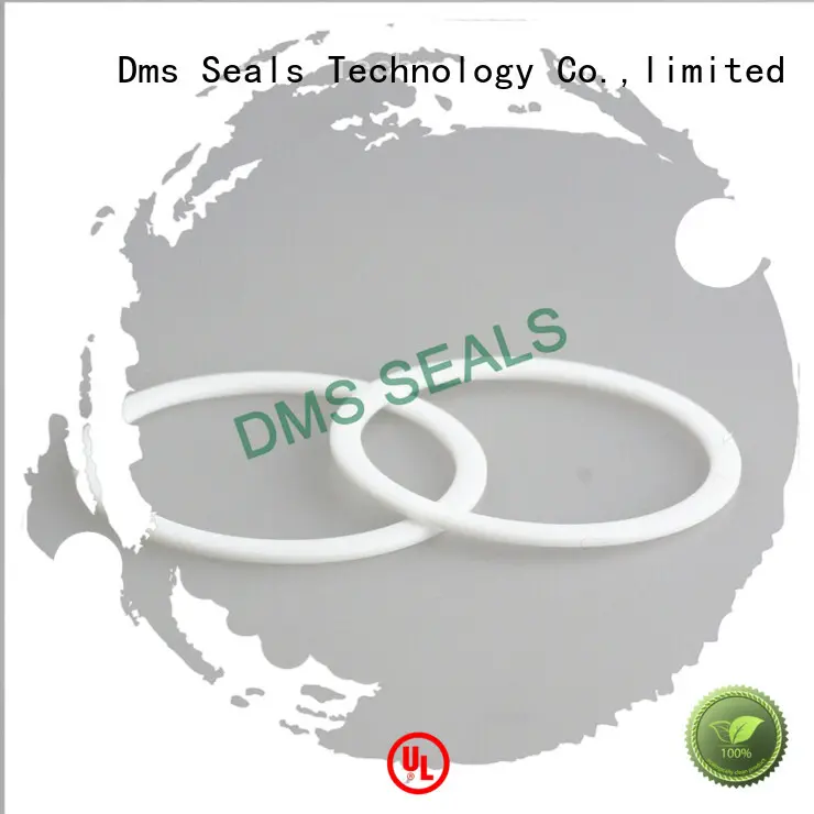 DMS Seal Manufacturer flat ring gasket material for liquefied gas 1