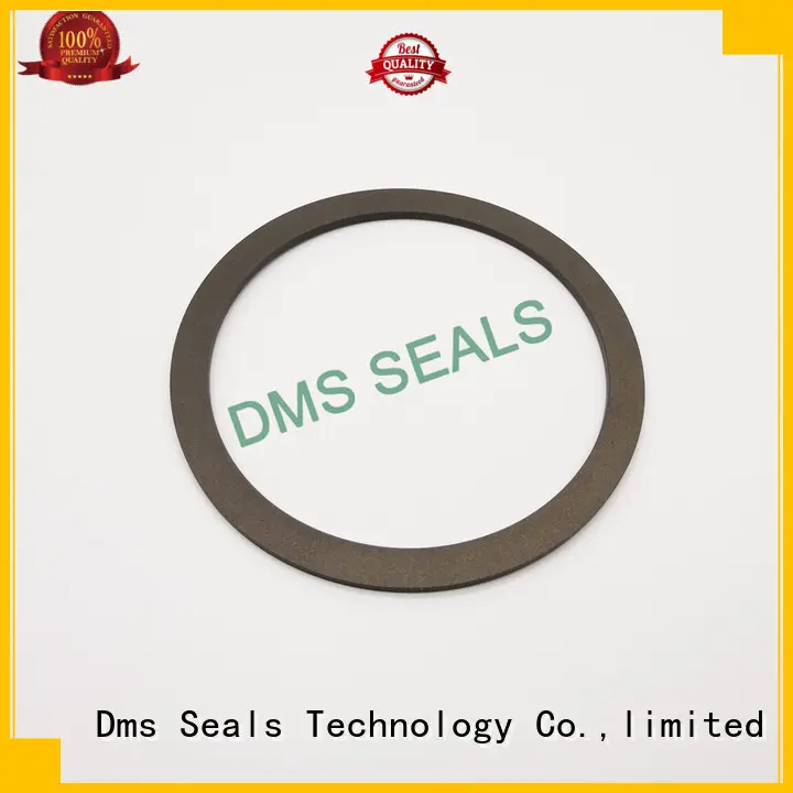 DMS Seal Manufacturer ptfe rubber and gasket material for preventing the seal from being squeezed 1