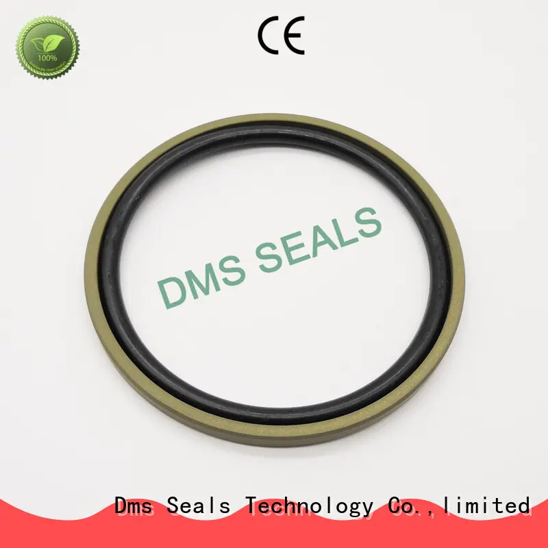 DMS Seal Manufacturer hydraulic rod seals supplier 1