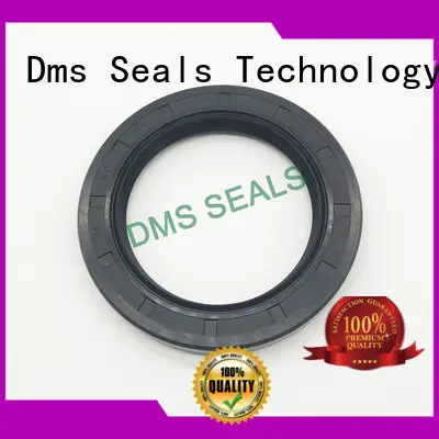 DMS Seal Manufacturer primary rubber oil seal with low radial forces for housing 1